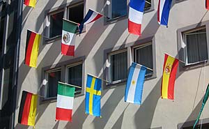 Don't have a flag? A passport will do (file). Photo: jpvargas/flickr
