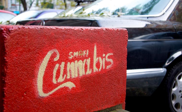 The Left party proposes the introduction of cannabis clubs in Germany. Photo: Esbjörn Guwallius/Berlinow